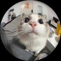 TikTok Account - freehaabbas78