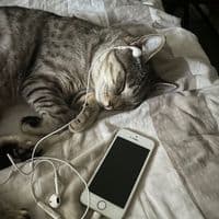 TikTok Account - glawkstars