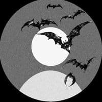 TikTok Account - _vocalsonlymusic