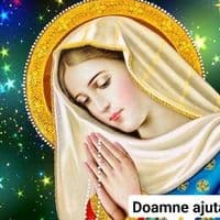 TikTok Account - getaionita393