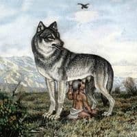 TikTok Account - warriorspirittt