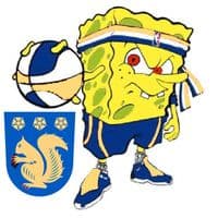 TikTok Account - kauniainenvirallinen