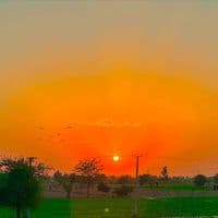 TikTok Account - punjab894