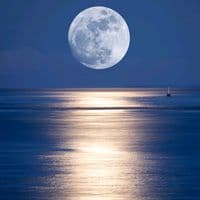 TikTok Account - muskanf111