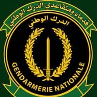 TikTok Account - gendarmerie.nationale31