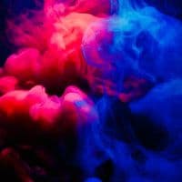 TikTok Account - kelsobo1