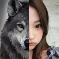 TikTok Account - amoureenha