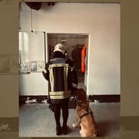 TikTok Account - angixlosu