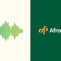 TikTok Account - afrobeatsdecoded