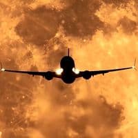 TikTok Account - nightflight31