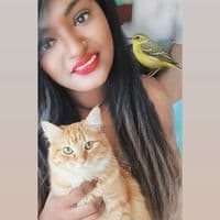 TikTok Account - sanjana_bollywood90s