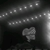 TikTok Account - lakikidelousi