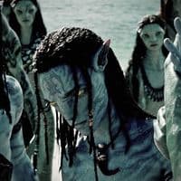 TikTok Account - n6avi