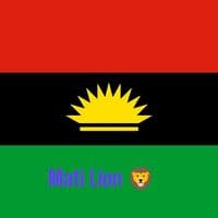 TikTok Account - nattiboyys