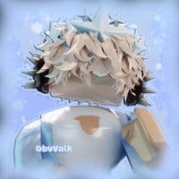 TikTok Account - obvvalk