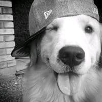 TikTok Account - audiooreo