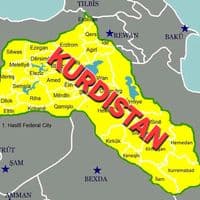 TikTok Account - omidkurdistan