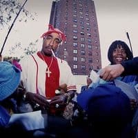 TikTok Account - lex.cc2