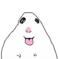 TikTok Account - lenalennylen