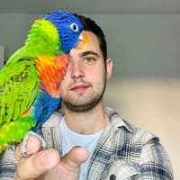 TikTok Account - lesanimauxdallan