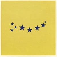 TikTok Account - teamdelcanario