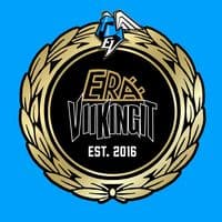 TikTok Account - eraviikingit