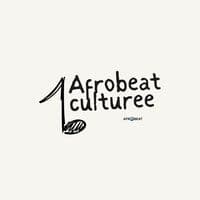 TikTok Account - afrobeatculturee