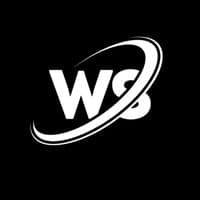 TikTok Account - ws_music11