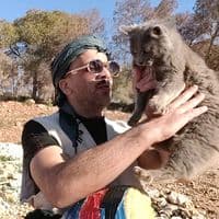 TikTok Account - gatouti_31