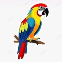 TikTok Account - bindassparinda0786