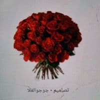 TikTok Account - zenep2345