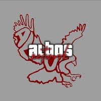 TikTok Account - network_albos