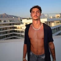 TikTok Account - vincent_lvv