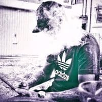 TikTok Account - sttixulete