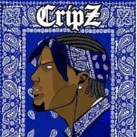 TikTok Account - trefle_de_bagdad232