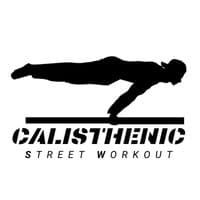 TikTok Account - calisthenicsw_