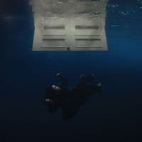 TikTok Account - timalouney