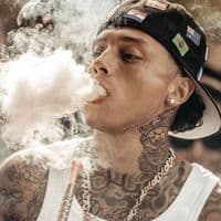 TikTok Account - imnormallyharvey