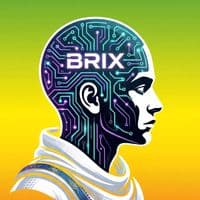 TikTok Account - b.r_i.x