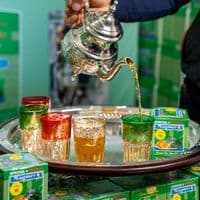 TikTok Account - magmer.tea