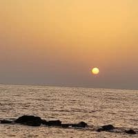 TikTok Account - f_c2613