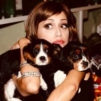 TikTok Account - aetuva