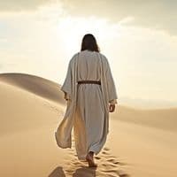 TikTok Account - gtfhhzzumgp