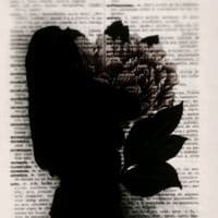 TikTok Account - bikerxcsyx