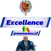 TikTok Account - mamadou.zf