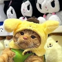 TikTok Account - misuandmatilda