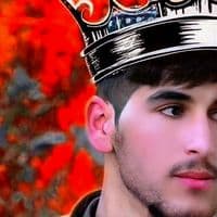 TikTok Account - fzliking