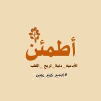 TikTok Account - karimawais44