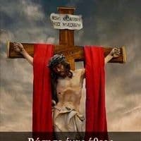 TikTok Account - orthodox.xristiani