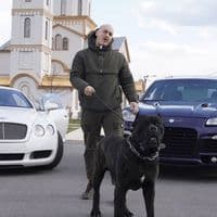 TikTok Account - despicpadre